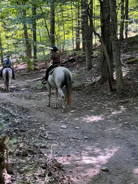 Cinch 'em Up Stables Horseback Riding