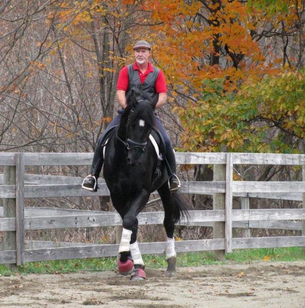 French Light Dressage