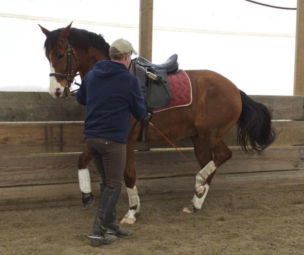 French Light Dressage