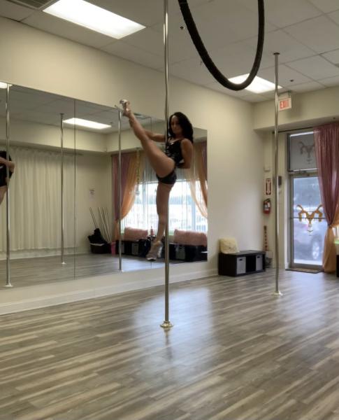 Lovely Lioness Pole Dance & Aerial Fitness