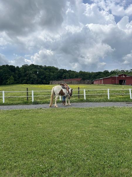 Silver Rose Equestrian Center