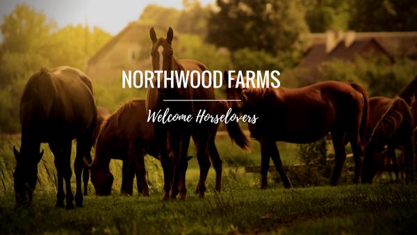 Northwood Farms