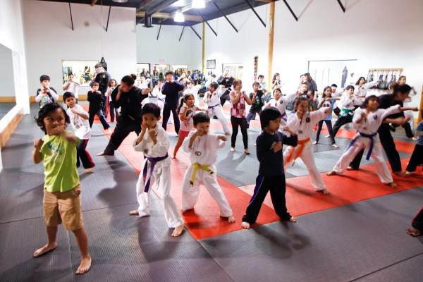 Anderson Professional Karate Center