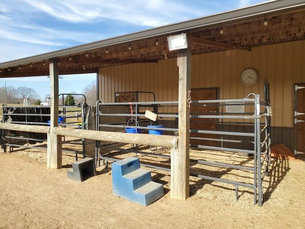 Painted Sky Ranch Riding School