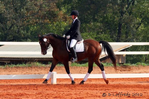 Foothills Equestrian Center