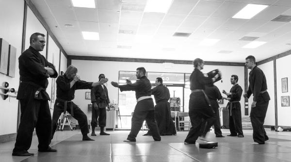 Todai Bujinkan Dojo