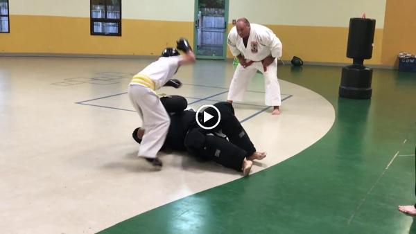 Midwest School of Isshinryu