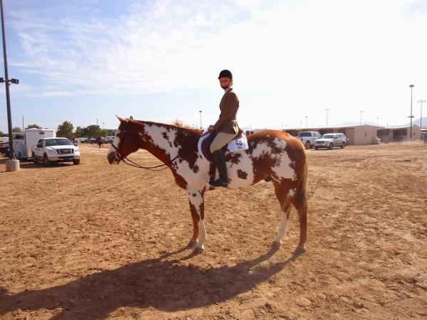 Robin Bailey Horsemanship