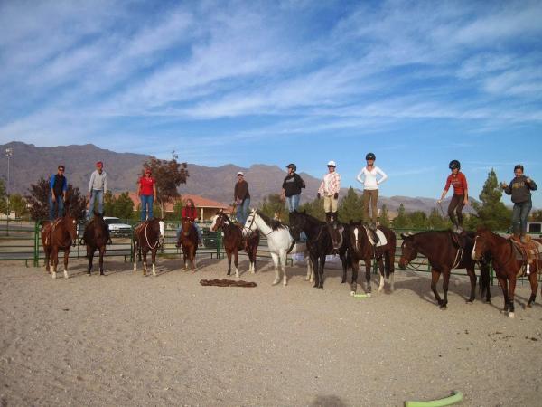 Robin Bailey Horsemanship