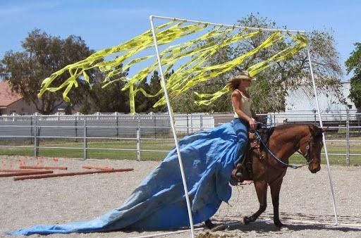 Robin Bailey Horsemanship