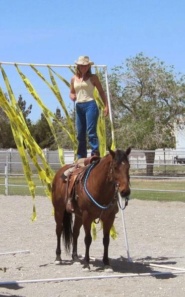 Robin Bailey Horsemanship