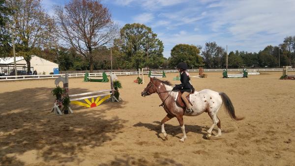 Woodedge Stables