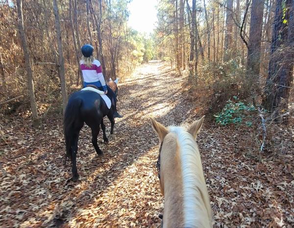 Zoeyjo Equestrian LLC