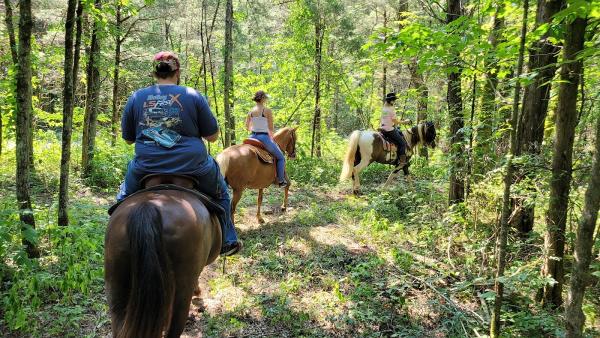 Fancy Forest Farm Guided Horseback Trail Rides