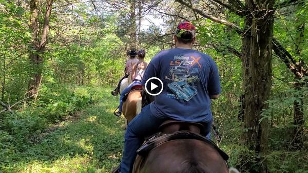 Fancy Forest Farm Guided Horseback Trail Rides