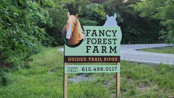 Fancy Forest Farm Guided Horseback Trail Rides