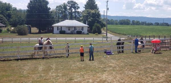 Devon Good Horse Training