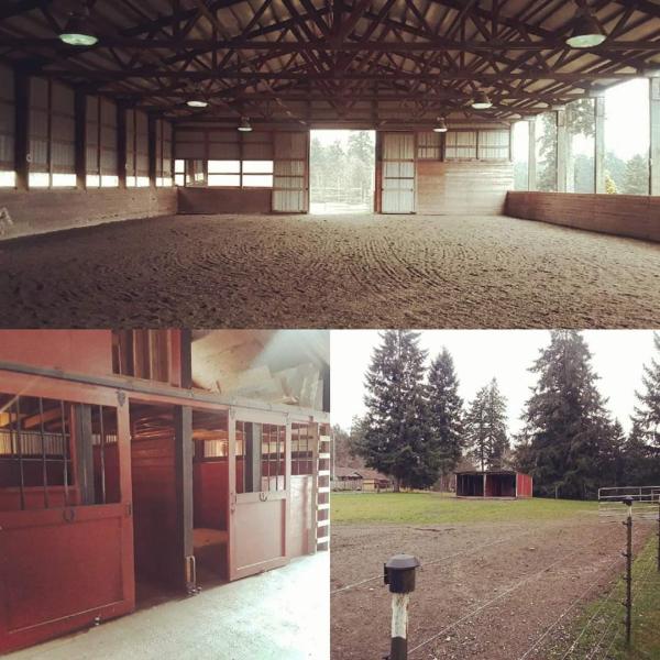 Front and Center Horse Riding Academy