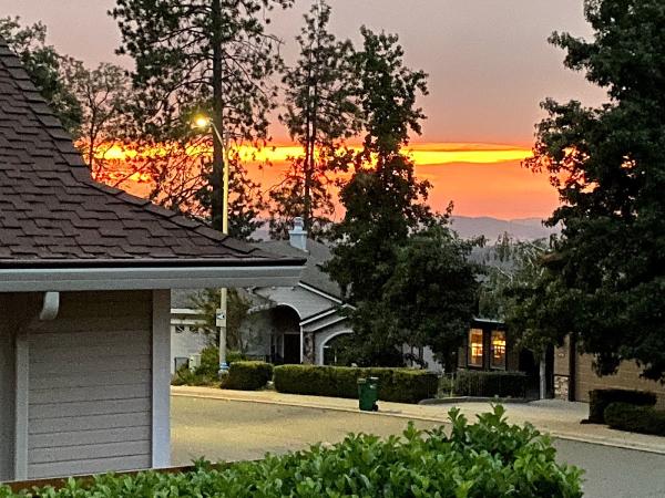 Front and Center Horse Riding Academy