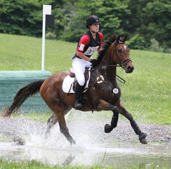 RE Sporthorses LLC