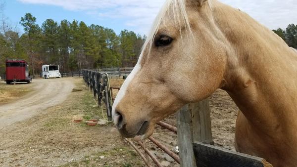 Creekside Farm Stables LLC