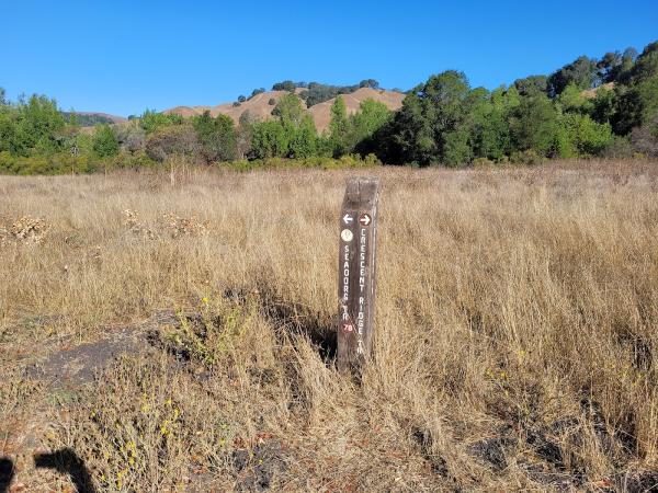 Briones Archery Range