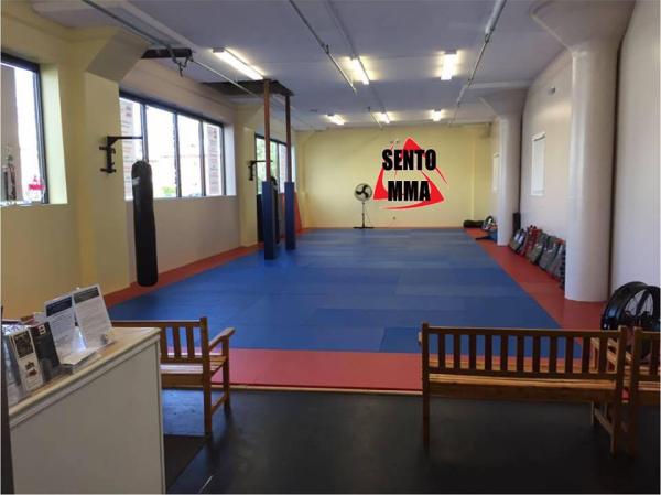 Sento Mixed Martial Arts Academy