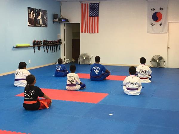 American Korean Taekwondo
