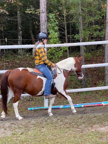 Pony Gang Equestrian Services