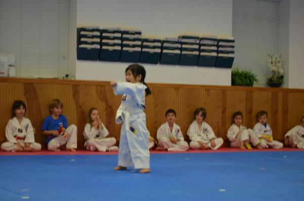 World Champion Taekwondo