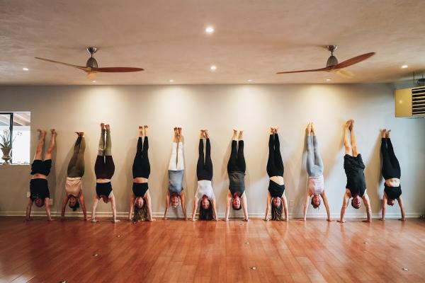 Synergy Yoga & Wellness