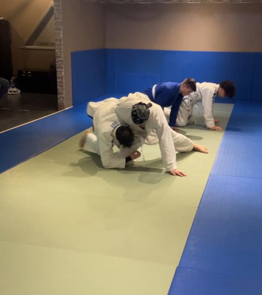 Otimo Jiu Jitsu
