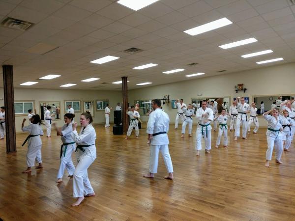 Hendersonville Shorin-Ryu Karate Dojo