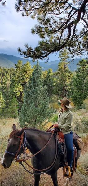 Big Country Equestrian Adventures