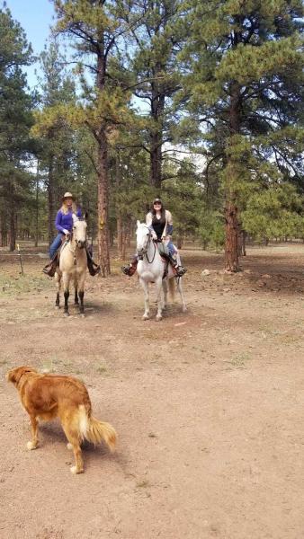 Big Country Equestrian Adventures