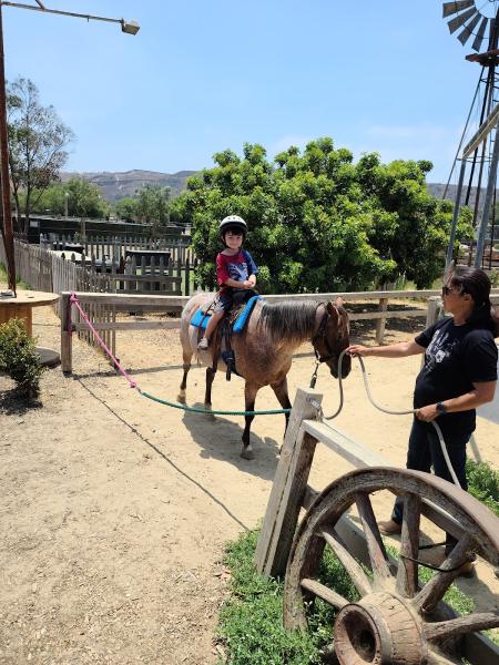 Pony Land: Pony Rides & Petting Zoo