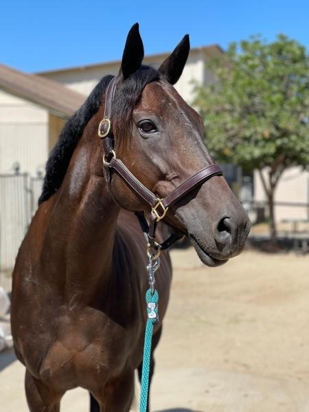 Peppertree Ranch