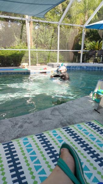 Cutri Swim Academy