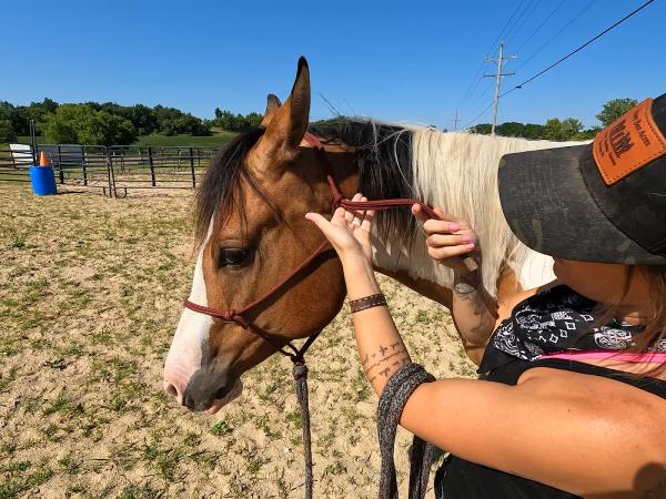 Cowboy's Haven Equine Facility