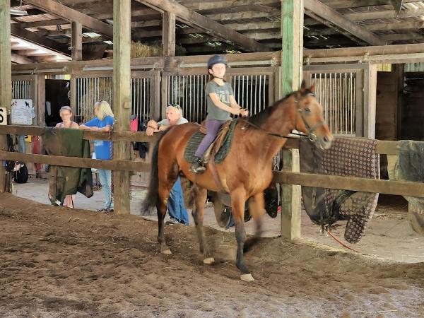 Hepner-Hart Horse Training Stables/Glenmar Horse Camp For Kids