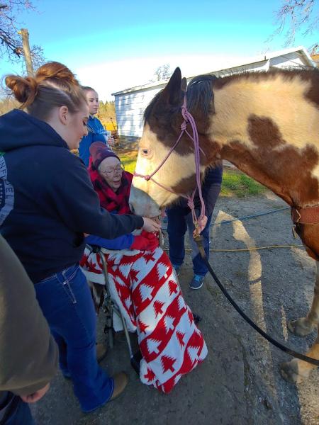 Creekside Stables