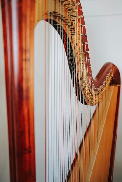 Oklahannah Plays Harp