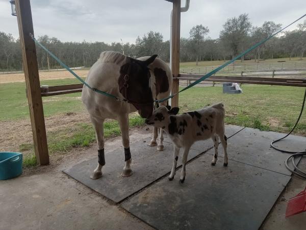 Fern Haven Farm