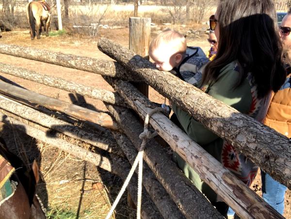 Red Horse Riding Company