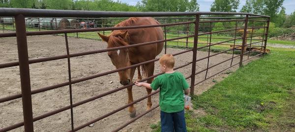 Cherokee Valley Farm