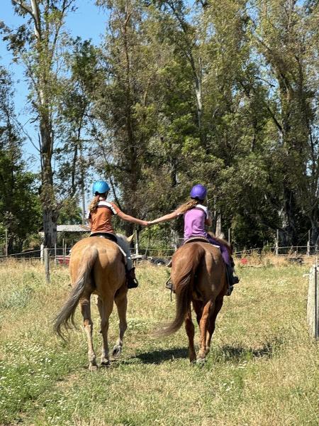 Pipe Dreams Farm