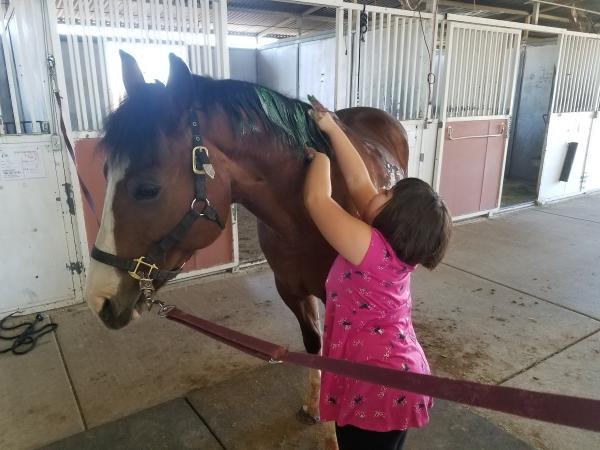 Joni Fitts School of Horsemanship