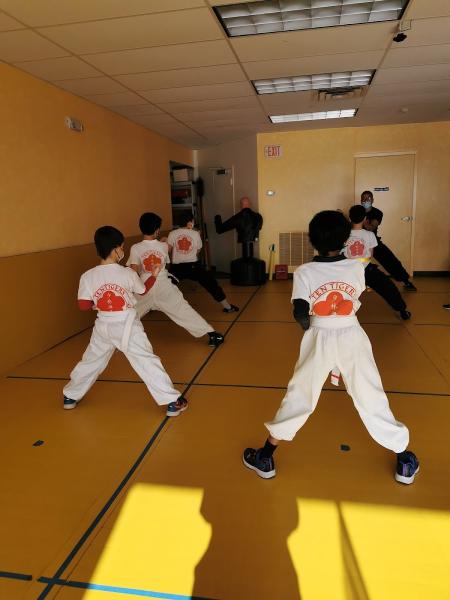 Ten Tigers Kung-Fu Academy