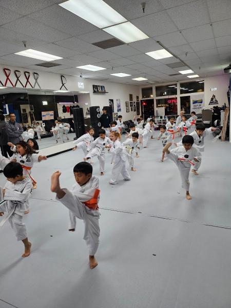 Star Taekwondo Academy