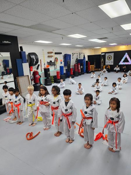 Star Taekwondo Academy